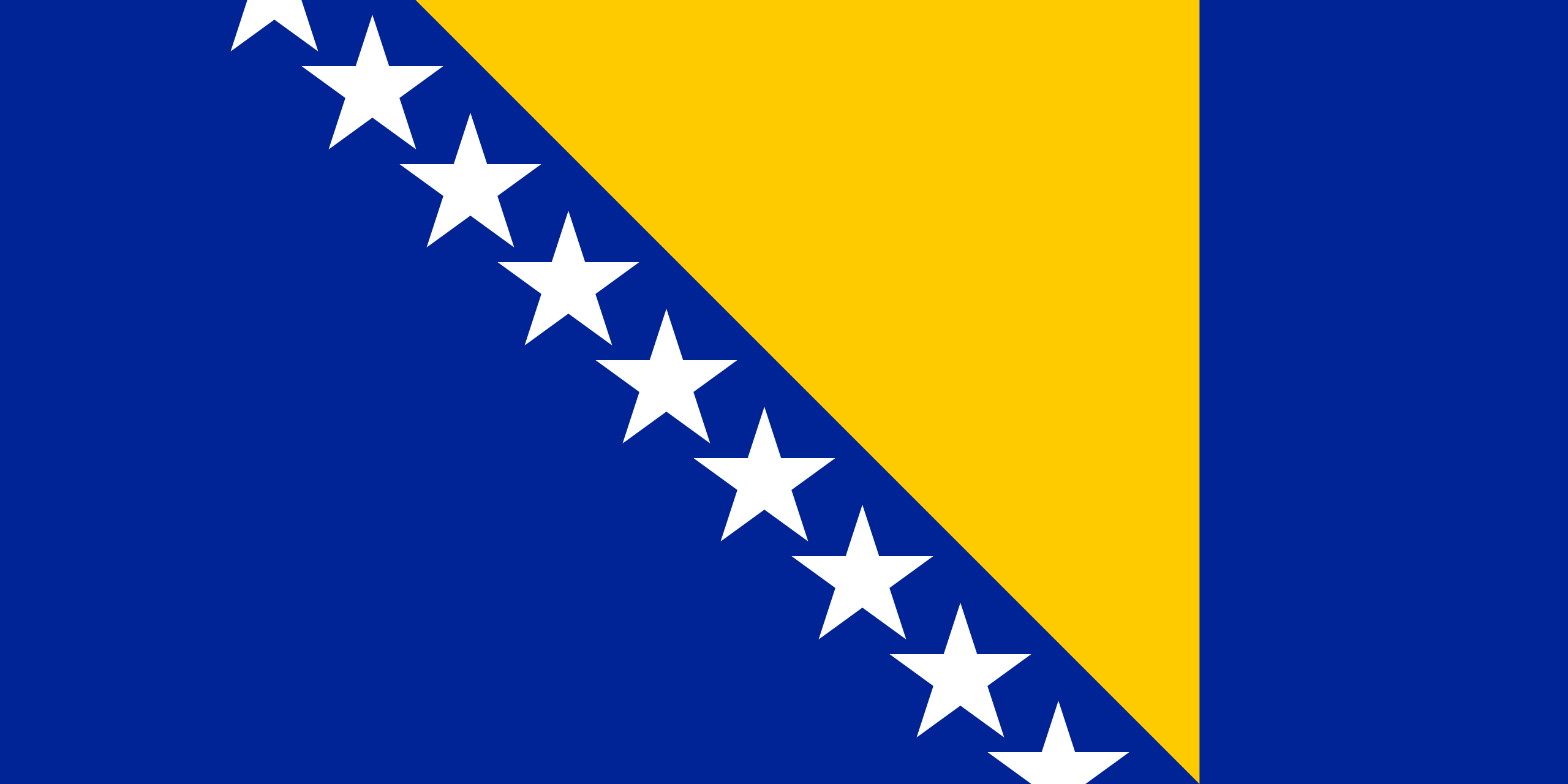 Bosnian / BiH